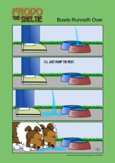 Frodo the Sheltie dog comic strip: Gord fills the bowls with water a dumps the rest on the ground, and the dogs drink from the ground